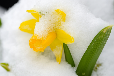 Начинается астрологический Новый год