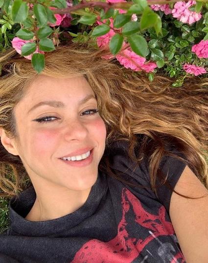 Шакира предпочитает диетам бокс