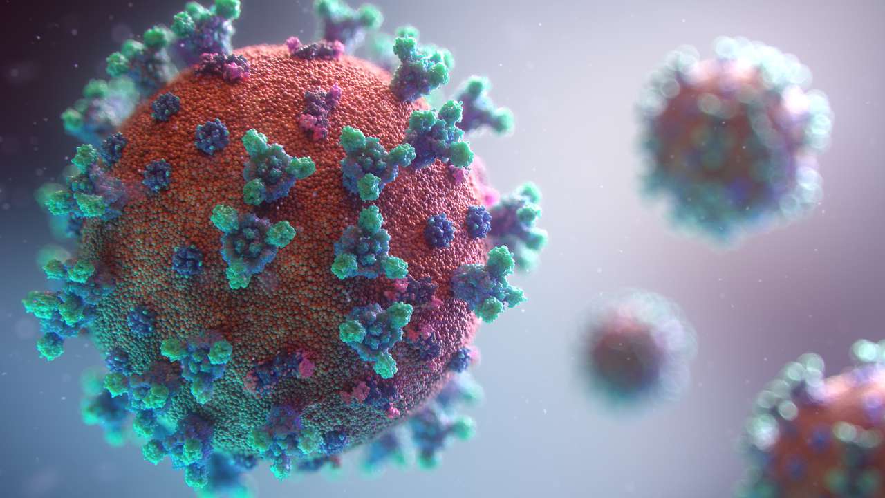ВЦИОМ провел опрос, посвященный коронавирусу