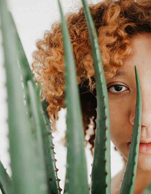 Увлажняет, защищает, заживляет: зачем алоэ вера в косметике