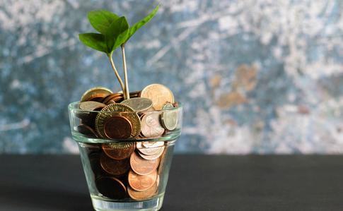 Приметы, чтобы приманить деньги в дом в 2023 году