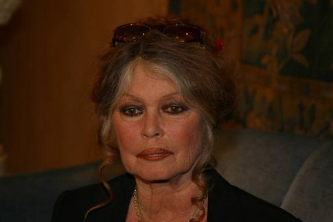 Легенда французского кино Брижит Бардо перенесла операцию на фоне борьбы с болезнью