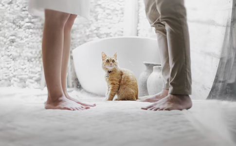 Уйти нельзя остаться: муж хороший, но не люблю и думаю о разводе