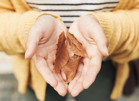 Как помочь коже рук в осенний период: советы косметолога