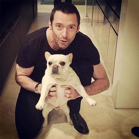 Хью Джекман снова столкнулся с раком