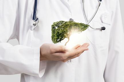 Почему нельзя переедать и голодать