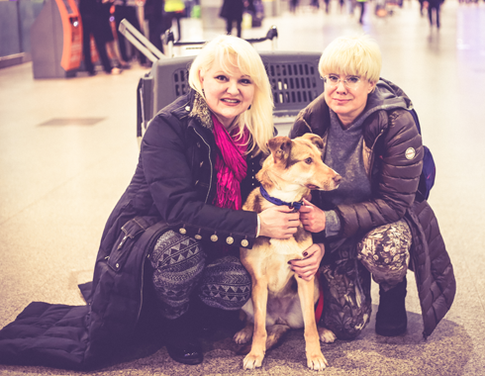 Маргарите Суханкиной пришлось отказаться от питомца