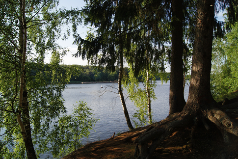 Тишь да гладь: святые озера Подмосковья
