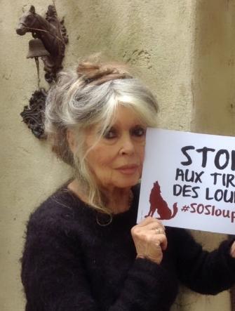 Брижит Бардо считает лицемерием жалобы «опороченных» актрис