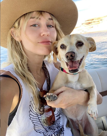 «Самый молчаливый день рождения»: Сайрус и другие артисты, отказавшиеся от пышных пиршеств