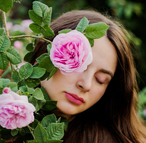 Ароматы лета: медовая роза, яркая магнолия и горькая полынь