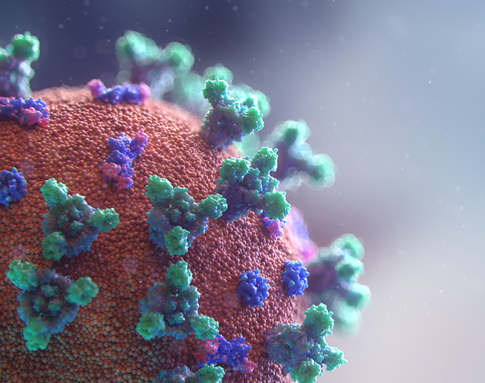 Стало известно, когда наступит пик заболеваемости коронавирусом в Москве