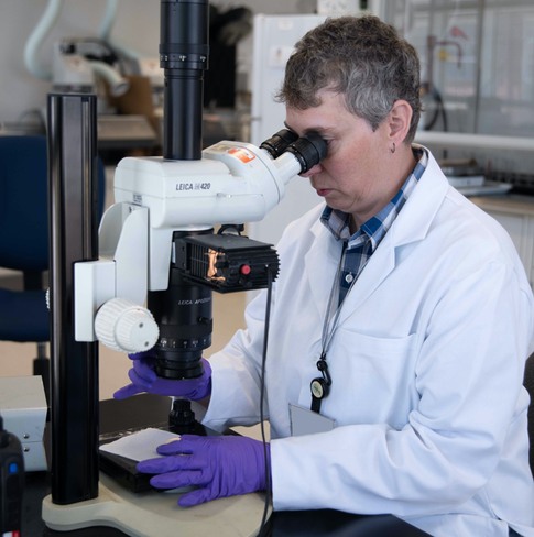 «Мы не сможем снова пережить 2020 год»: ученые начали разработку универсальной вакцины от COVID−19