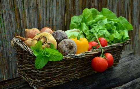 Картофель и помидор на одном кустарнике: 5 самых удивительных гибридов, которые стоит вырастить на даче