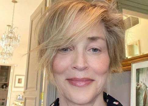 Шэрон Стоун затравили за слова о конфликте Израиля с Палестиной