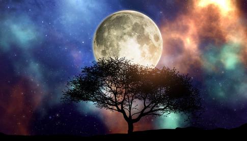 Реализовывайте задуманное: гороскоп с 1 по 7 января 2024