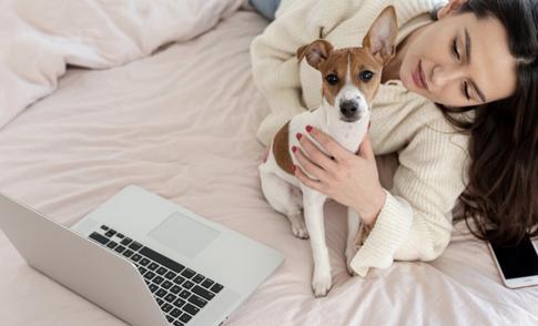 Слепота, аллергия и другие причины не пускать питомца в кровать — мнение специалиста