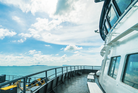 Лайнер, на котором застряли почти 600 россиян, отплыл из порта Японии