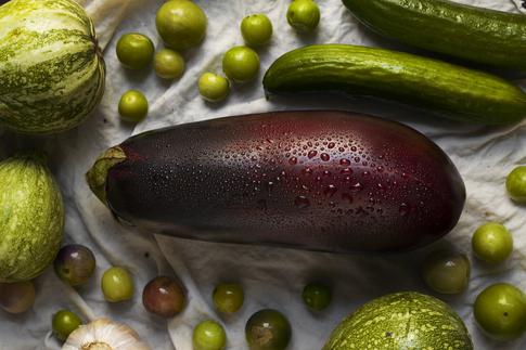 Ученый рассказала, почему садоводам не стоит гнаться за гигантскими плодами