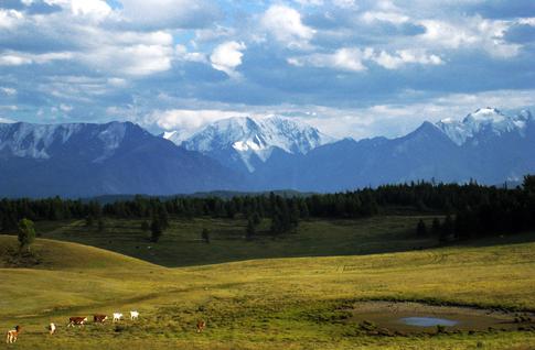 Блогер Алексей Шум извинился за осквернение священного для алтайцев места