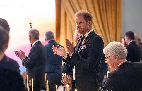 Герцога Сассекского подозревают в «копировании» принца Уильяма: фото