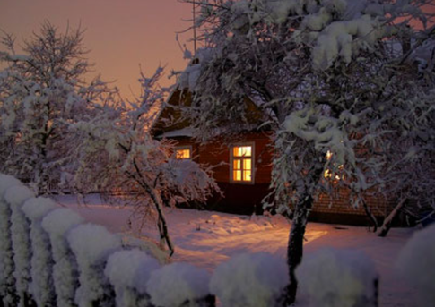 Пока есть время и нет высоких цен: что подготовить за зиму для нового сезона на даче