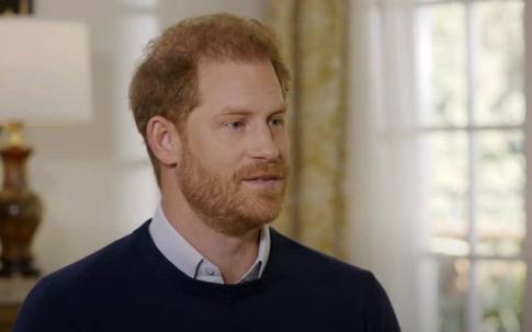 Стало известно, почему принц Гарри не может «брать на себя ответственность»