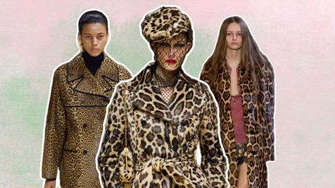 Приручить зверя: как носить леопард в 2025 году