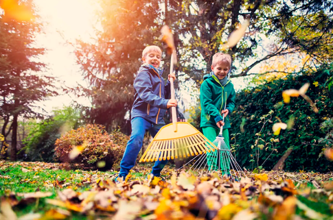 Осенние хлопоты: работы в саду и огороде, которые нужно завершить до конца сентября