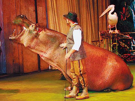 Муха весом в две тонны