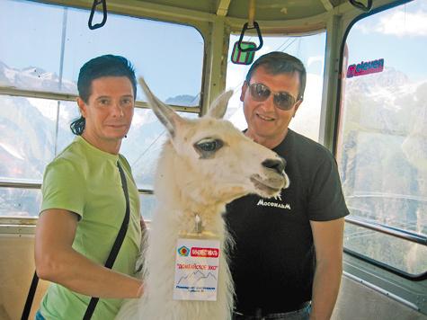 Давай, лама!