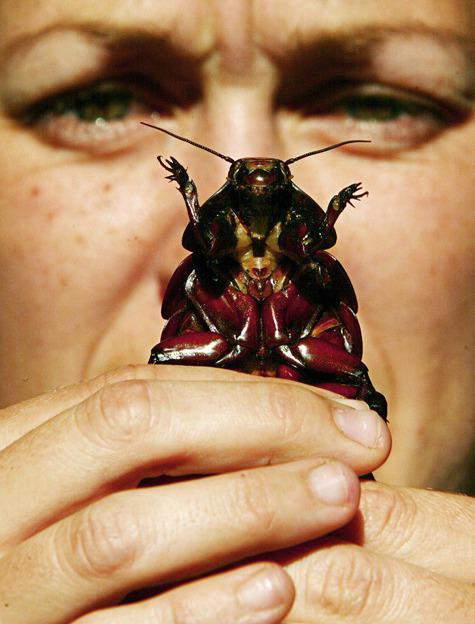 Ты даже не знаешь, с кем живешь бок о бок!