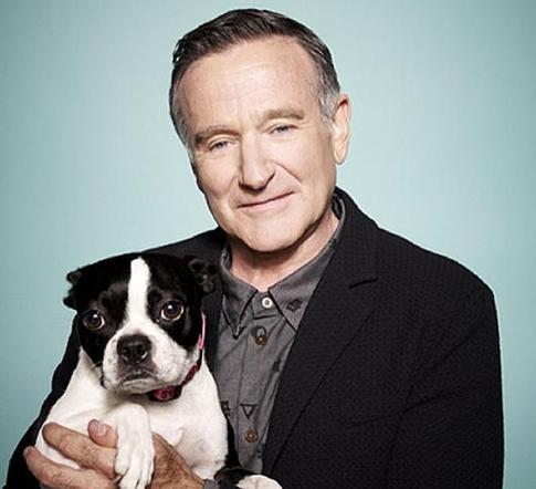 Дэвид Леттерман: «Увидев Робина Уильямса, я подумал, что шоу-бизнесу пришел конец»