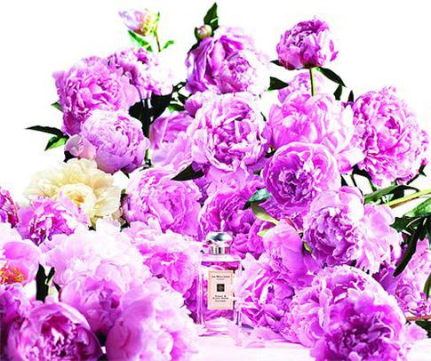 Собираем парфюмерный урожай