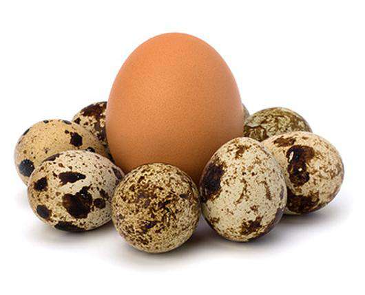 Что будет, если есть яйца на завтрак каждый день? Научные исследования - Чемпионат