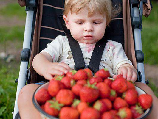 Папайа, манго и гуава - с какого возраста можно давать ребенку экзотические фрукты - slep-kostroma.ru