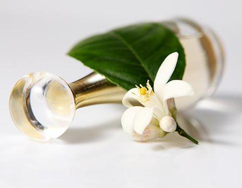 Прививка от хандры: лимонные парфюмы