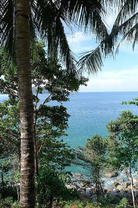 Записки тайской мамочки: «Учитель английского почти валялся по полу от смеха»