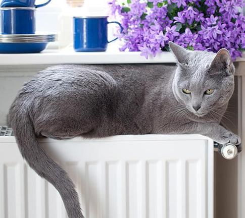 Выбираем правильный обогреватель