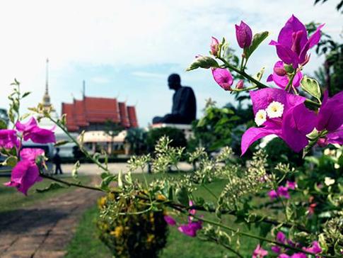 Записки тайской мамочки: «В комнате с восковыми монахами было страшно»