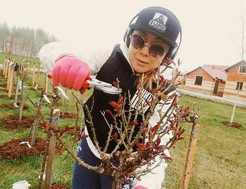 Анита Цой доит коров